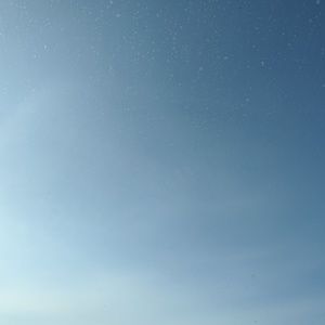 Meet your Posher, Dusty